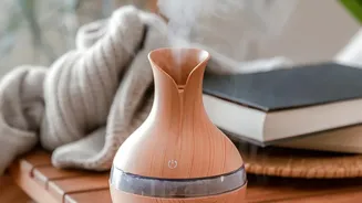 Musty Smell During Monsoon? What To Check Around Your Home