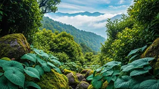 Gangtok Is The Perfect June Nature Escape
