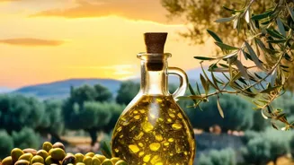 India Began Commercial Olive Oil Production In Rajasthan In 2013 With Commercial Olive Oil
