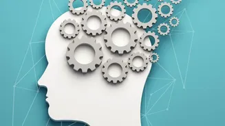 India's Job Market: Why AI Skills Are Becoming More Valuable