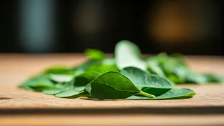 Moringa Leaves Are Entering Indian Summer Kitchens