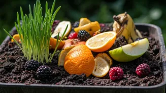 Fruit Peel Power: Transform Your Kitchen Scraps into Garden Gold!