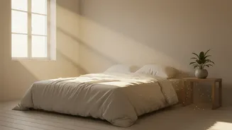 Why Sunlight In The Morning Is The Most Powerful Tool To Fix Sleep