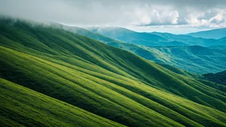 Misty Hills Of Coorg Offer Ultimate Offbeat Budget Holiday Vibe