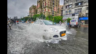 How Electric Vehicles Are Changing Car Insurance in India