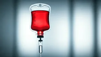 Vande Bharat Passenger Suffers Severe Reaction: Claims Train Food Caused Life-Threatening Allergy