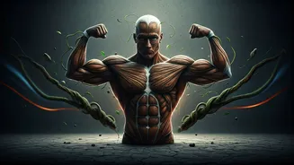 Master Core Mobility Free Using High Intensity Crawl Routines