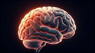 Breathe Easy: 5 Brain-Boosting Exercises for a Sharper Mind