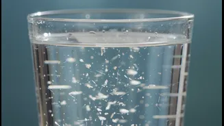 Microplastic Exposure Explained: What Everyday Food Habits Can Change