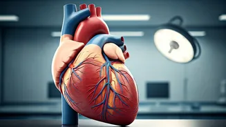 Lowering Blood Pressure: Effective Exercise Strategies