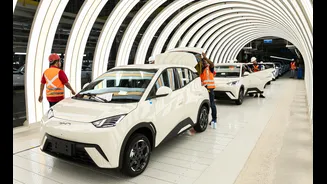 BYD promete nacionalizar peças do Song Pro, Dolphin Mini e King até o fim de 2026