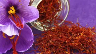 Why small Quantities Work Best With Expensive Saffron When The Article Is A Culinary Guide