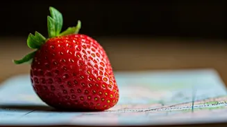 Raw Food Risks Are Back In Travel Chats