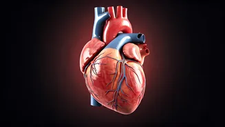 Weekly Health: Your November 17-23 Wellness Guide