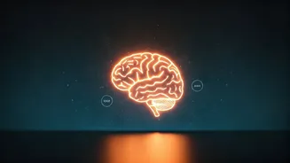 Unlock Your Brainpower: The Optimal Dinner Time for Peak Cognitive Function