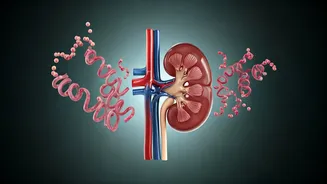 Protein Overload: Hidden Health Risks Unveiled!