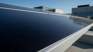 Squid Ink Melanin Science: Creating Durable Bio-Synthetic Protective Layers For Solar Modules
