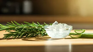 Rosemary And Aloe Are Winning Cooking Corners
