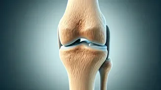 Don't Ignore Aching Joints: Uncovering Osteoarthritis's Subtle Early Warnings
