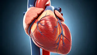 US Doctor's 10 Tips for a Longer Life