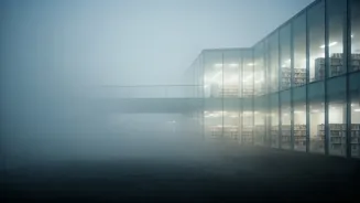 India's December: Fog, Libraries, and Arrests