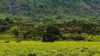 How High-Altitude Coorg Plantation Stays Promote Physical And Mental Recharge In Monsoons