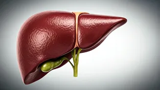 Boost Your Liver Health: Habits and Risks