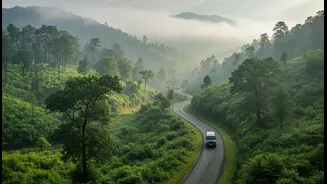 How readers can check transport and accommodation before moving between venues with Dima Hasao Ethnic Fest
