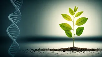 Unlocking Your Height: The Secrets Behind How Tall You Grow!