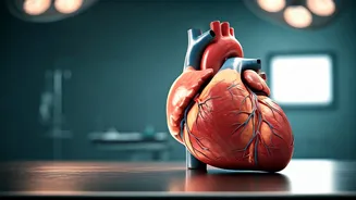 Heart Cell Regeneration: A Big Step for India?