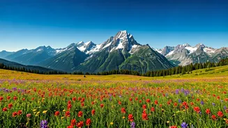 8 Indian Escapes for a Refreshingly Cool Summer Getaway