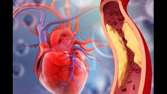 Normal ECG? You Could Still Be At Risk Of A Heart Attack, Why Tests Miss Warning Signs