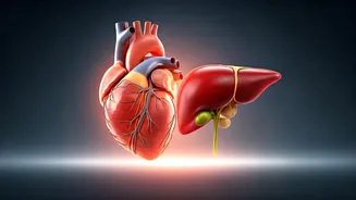 Related Stories banner