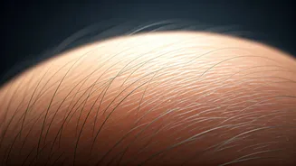 Related Stories banner