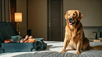 India's Pet-First Travel Revolution: Furry Friends Now Lead Holiday Planning