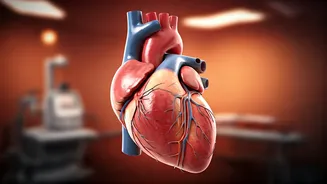 4 Lifestyle Factors: Top Heart Health Tips from a Cardiologist