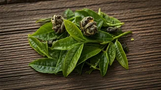 Good Tea Needs Fresh Leaves And Honest Flavours