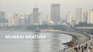 Mumbai Weather in a Pleasant Mood on Christmas, AQI Stays Below 100 - Check IMD Forecast