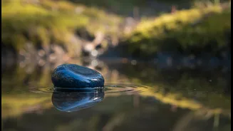 A Calm Cue Should Be Practised Before It Is Needed
