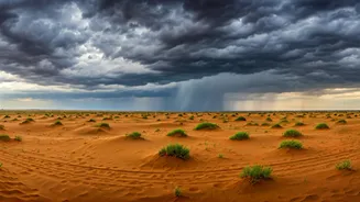 Thar Romance Hits Different During Rainy Season