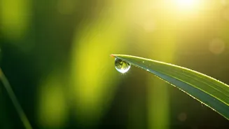 Summer Skin Savvy: 8 Dermatologist-Approved Hacks for Glowing, Protected Skin