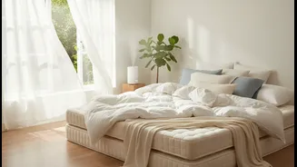 Keep Mattresses And Cushions Dry By Giving Them Regular Air
