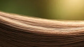 7 Ways to Stop Hair Fall: Doctor-Approved Tips