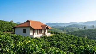 Workations rise in Coorg plantation stays