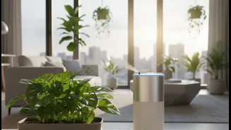 Apartment Plant Owners Discover A Smarter Way To Manage Watering