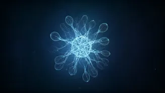 OpenAI's New AI Principles: Ensuring Safe, Adaptable, and Accessible Future