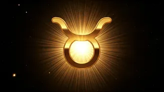 Related Stories banner