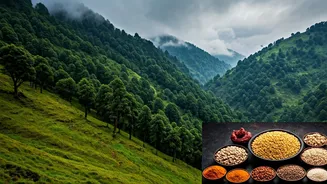 Tribal Food And Rain Make Saputara Interesting