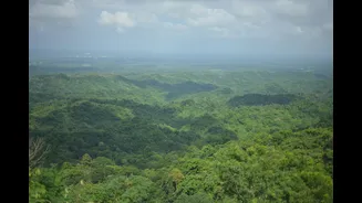 Southeast Asia's haze crisis impacts India with transboundary pollution concerns