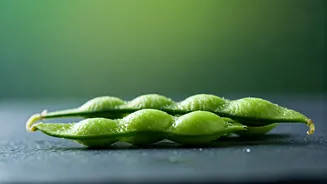Protein-Rich Snacks Need More Edamame Energy